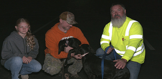 Dogs lost during floods found by TDOT worker and returned to family