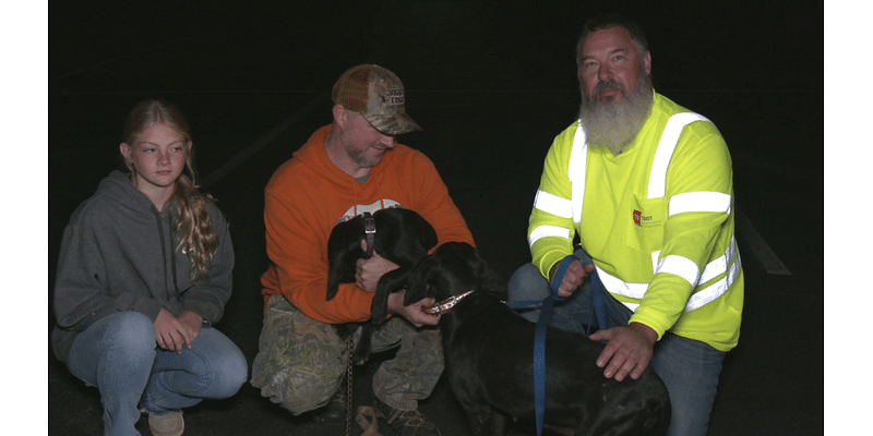 Dogs lost during floods found by TDOT worker and returned to family