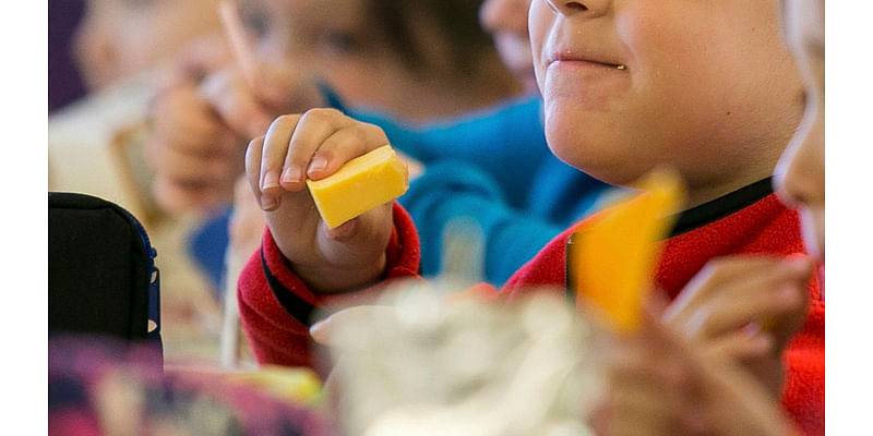 Senior US Senator calls for toxic ingredients to be removed from school lunches