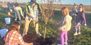 Girl Scouts tree planting project extends to Lincoln Prairie Grass Trail