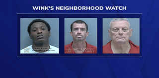 WINK Neighborhood Watch: Animal abuse, grand theft auto and spousal murder