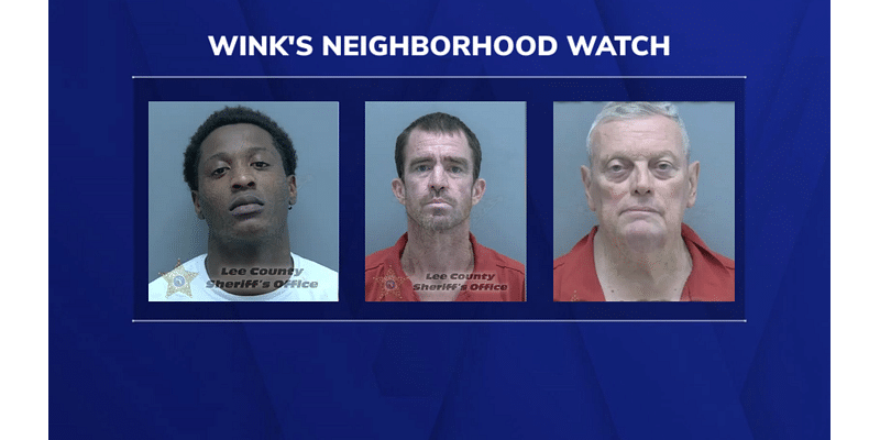 WINK Neighborhood Watch: Animal abuse, grand theft auto and spousal murder