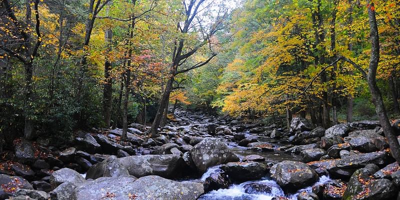 National parks admission is free on Veterans Day