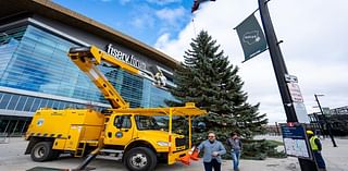 The Department of Public Works install the 2024 City of Milwaukee Christmas Tree