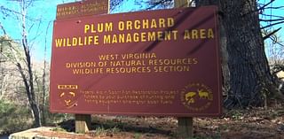 Plum Orchard Lake gets needed updates