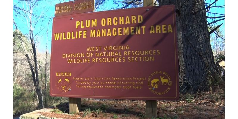 Plum Orchard Lake gets needed updates