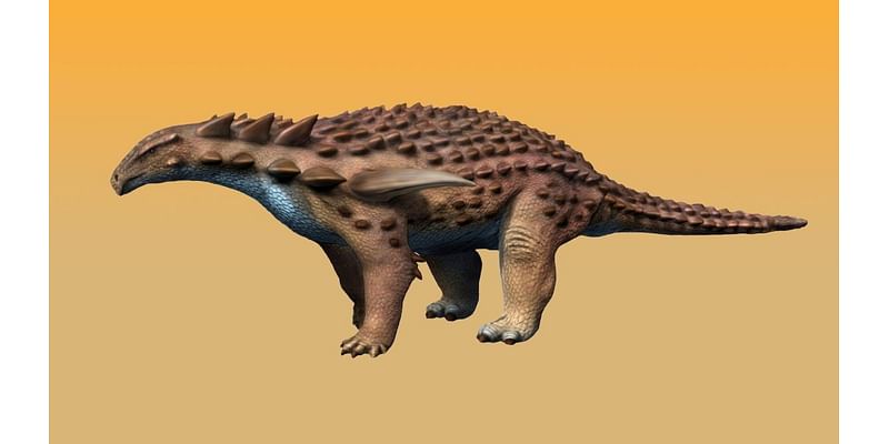 Armored dinosaur could withstand the impact of a high-speed car crash, thanks to the 'bulletproof vest' over its plate armor