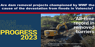 Are dam removal projects championed by WWF the cause of the devastation from floods in Valencia?