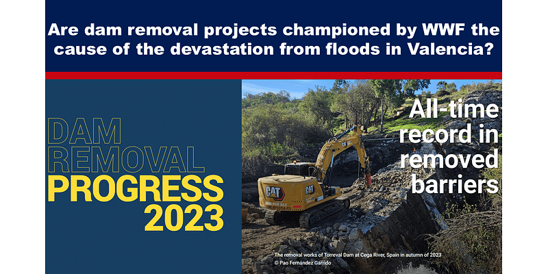 Are dam removal projects championed by WWF the cause of the devastation from floods in Valencia?