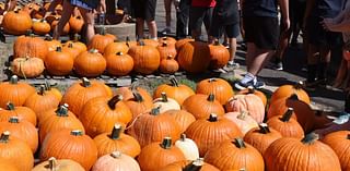 Waco-area news briefs: Western Belle Farm's pumpkin festival continues