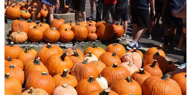 Waco-area news briefs: Western Belle Farm's pumpkin festival continues