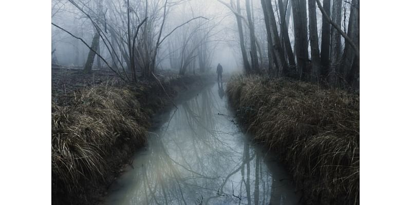 ‘Big White Thangs’: ‘Haintin Holler’ cryptid seen near Kentucky highway