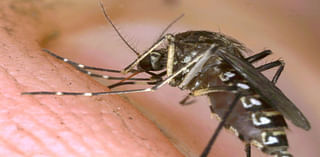 The mosquito-borne virus ‘triple E’ continues its spread, worrying state health officials