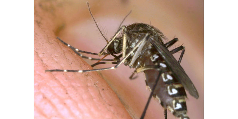 The mosquito-borne virus ‘triple E’ continues its spread, worrying state health officials