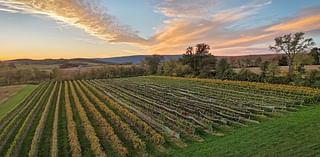 Central Pa. estate producer adds Saperavi, Gruner to acres of vines it sources for its wines