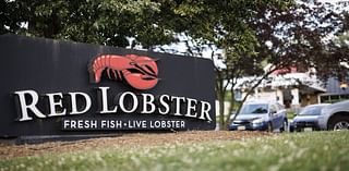 Could Red Lobster's endless shrimp return? New CEO weighs in