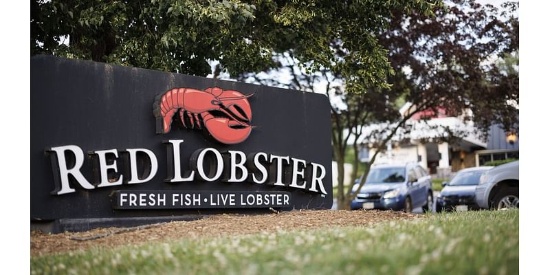 Could Red Lobster's endless shrimp return? New CEO weighs in