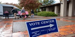 Ami Bera vs. Christine Bish for California Congress race: Candidates answer key questions