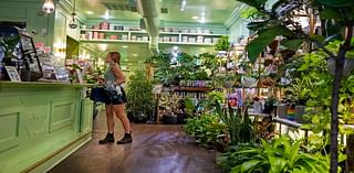 The Ground dishes coffees, croffles, and cacti from a cafe near Rittenhouse Square