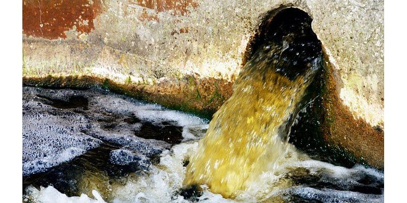 Do more to treat polluted water, boss tells government