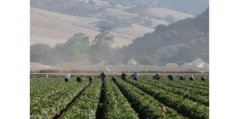 Study finds Central Valley residents continually exposed to 'toxic soup' of pesticides