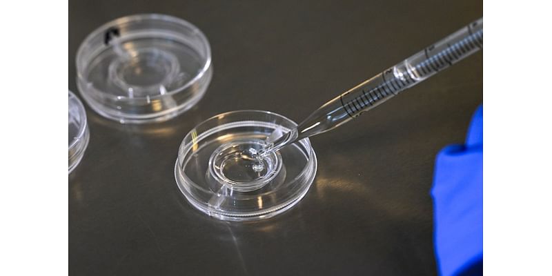 DNA test leads Las Vegas family to sue fertility clinic over wrong embryo