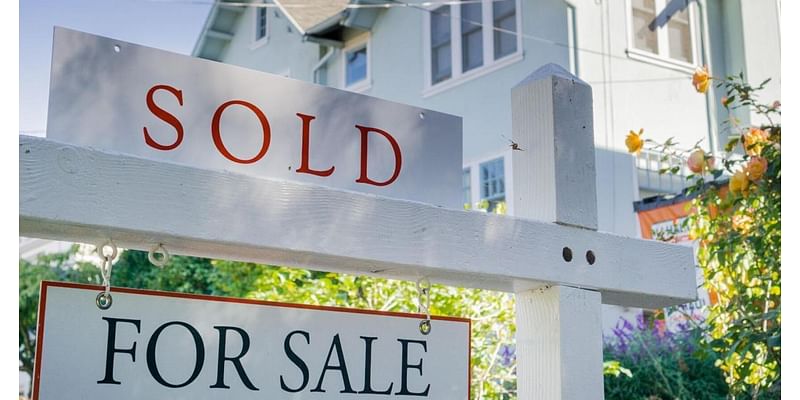 Cayuga County-area property transfers: Oct. 7, 2024