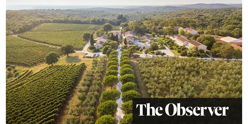 From grape stomping to truffle hunting: 10 great harvest festival trips in Europe