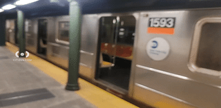 Subway surfer loses limbs after being hit by Harlem train: sources