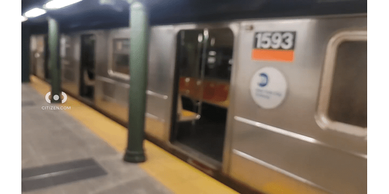 Subway surfer loses limbs after being hit by Harlem train: sources