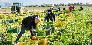 The Roanoke Foodshed Network receives $800,000 grant for food systems