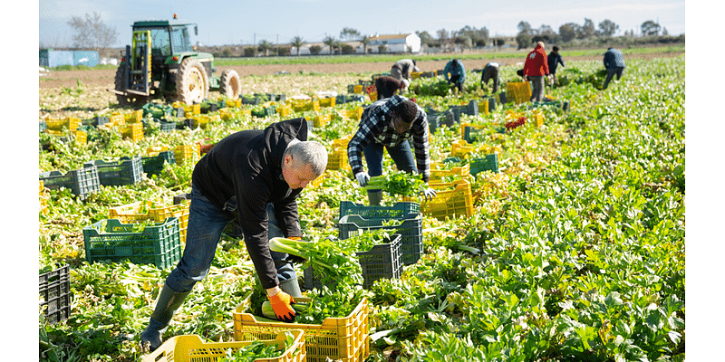 The Roanoke Foodshed Network receives $800,000 grant for food systems