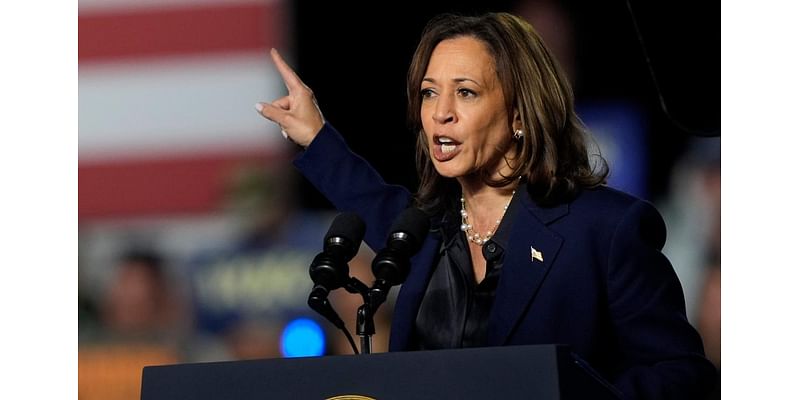 Labour activists campaigning for Kamala Harris in US ‘likely to break electoral law’