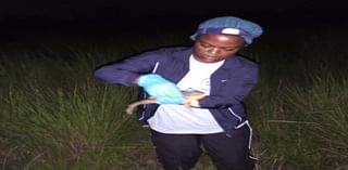 What Happens When People Eat Frogs In Ghana?