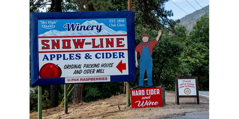 Apple season arrives in Oak Glen after Line fire left it untouched