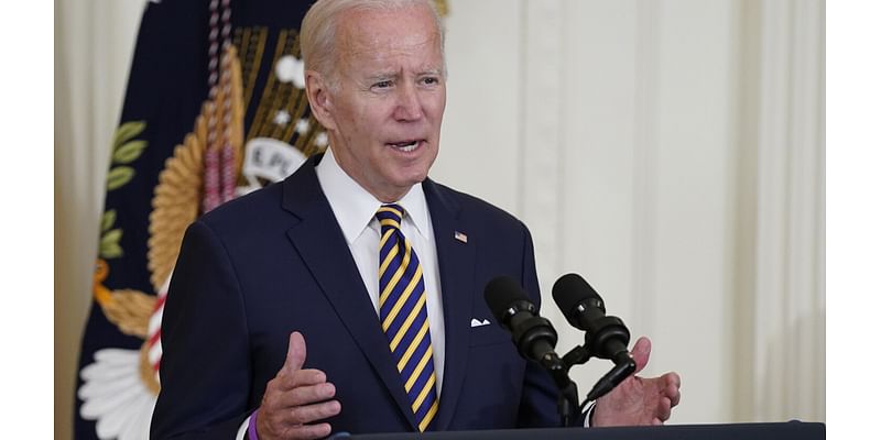 WATCH: Biden to address presidential election results