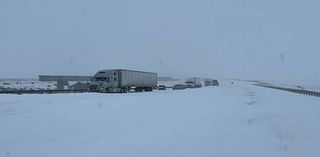 About 100 vehicles stranded in rural New Mexico in below-freezing conditions during ‘powerful’ snowstorm