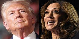 Attention is on whatever ‘weird thing of the day’ Trump does and not Harris: Buck