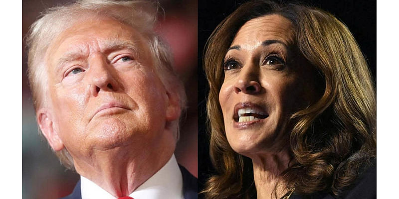 Attention is on whatever ‘weird thing of the day’ Trump does and not Harris: Buck