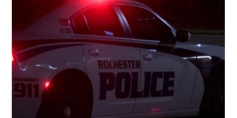 Rochester police respond to large fight at McDonalds on Culver Road