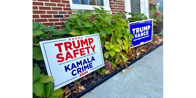 See where Trump, Harris had biggest support in Ann Arbor area