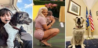 Meet the 'Nepo Pets' who earn more than the average Brit with one Instagram post