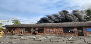 Animals saved from fire in Berlin commercial building