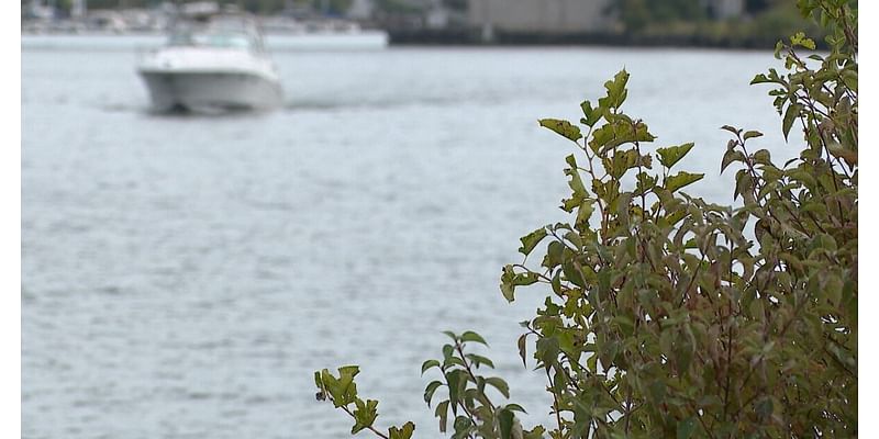 Regulators say this Northeast Ohio river is getting cleaner