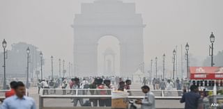 Dust Pollution Control Self-Assessment Portal Launched For Construction Projects In Delhi