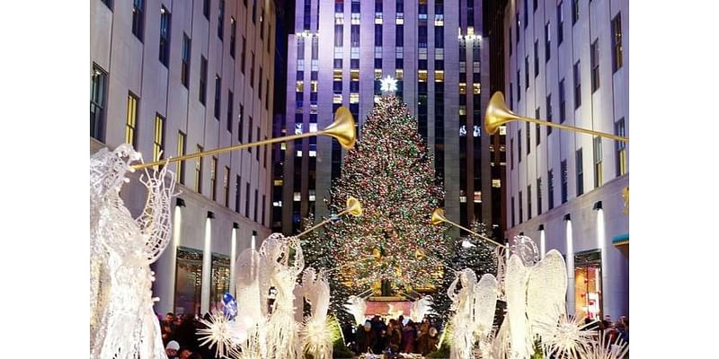 Crowds bid adieu to Christmas tree heading to NYC's Rockefeller Center