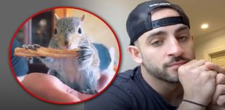 Peanut the Squirrel Raid May Have Actually Had To Do With Porn On OnlyFans