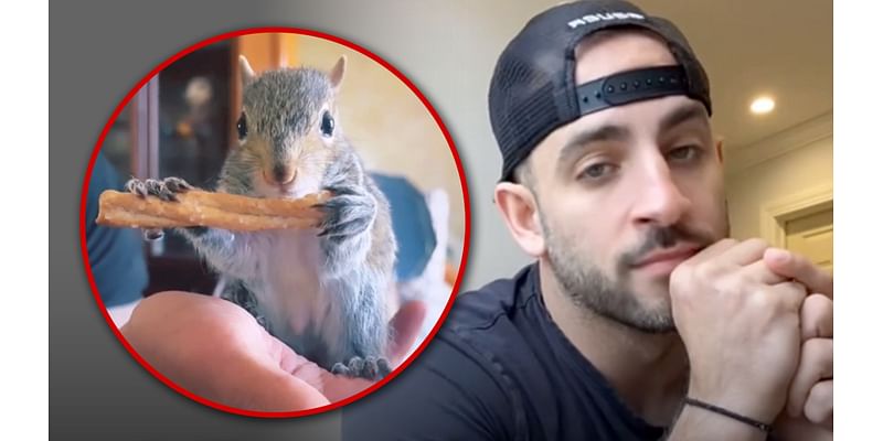 Peanut the Squirrel Raid May Have Actually Had To Do With Porn On OnlyFans