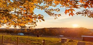 November Scorcher: Record Heat, Red Flag Fire Warning Across MA