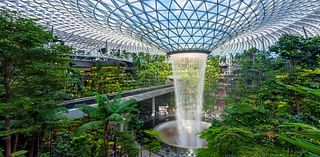 Meet the people who make Singapore Changi Airport one of the world's best, from gardeners who nurture 700,000 plants and 800 BUTTERFLIES to the team that creates 'wow' moments